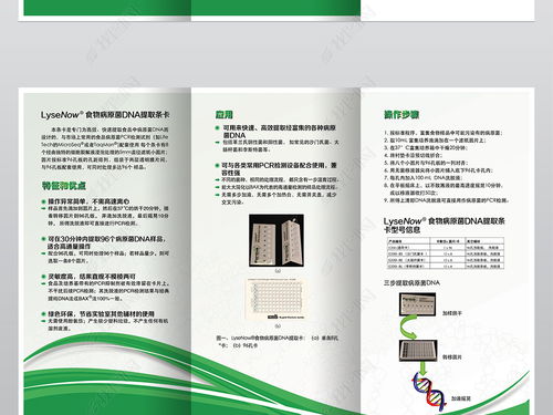 精品绿色能源生物工程科技公司三折页设计图片素材 高清psd模板下载 10.19mb 折页 大全