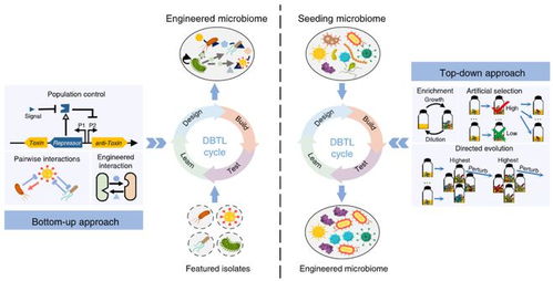 mlife 工程微生物组的理性设计原理及其在环境领域中的应用与展望